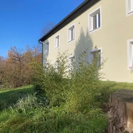 Cholin Гостевой дом 3*
